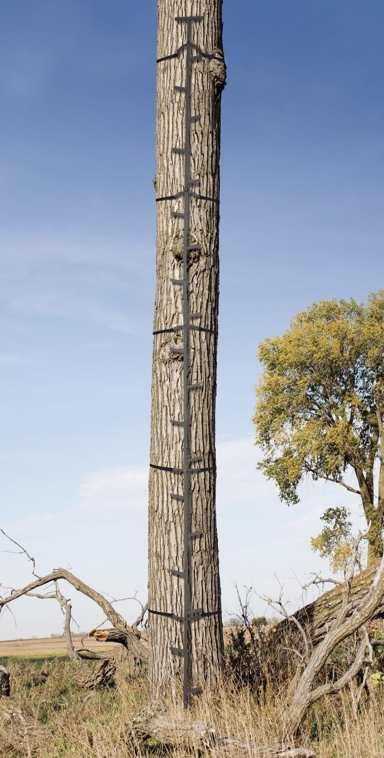 Quick-Stick Climbing System / 20ft Reach/Alternating Step Design